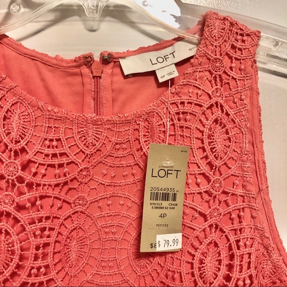 Loft Lace Bodice Dress | 4P - Picture 5 of 5